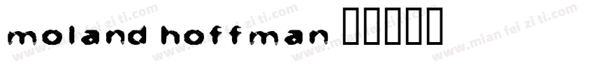Moland Hoffman字体转换